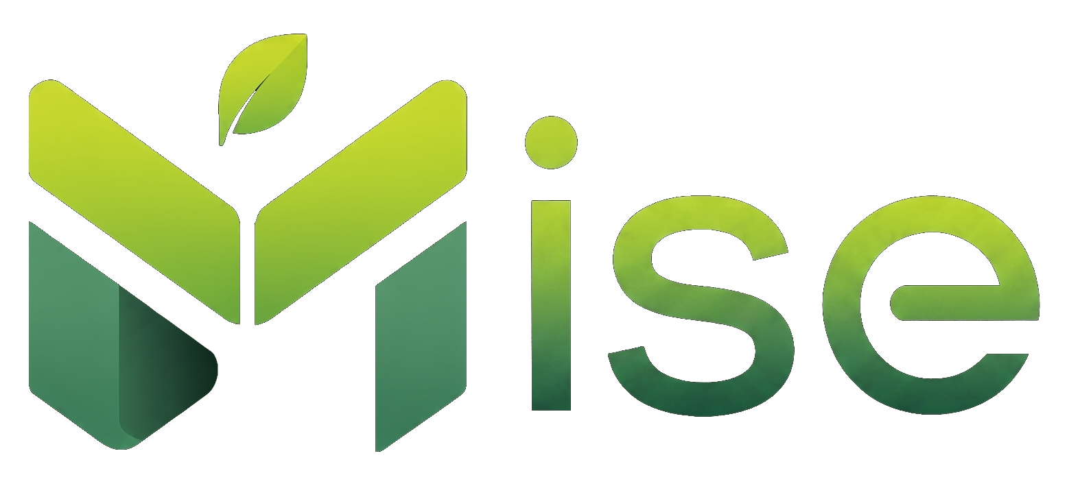 Mise